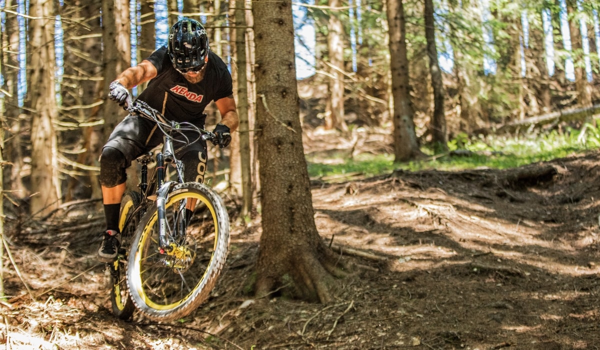 Mountain biking trail 1